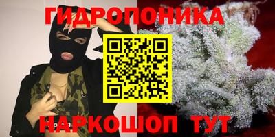 apvp Новодвинск