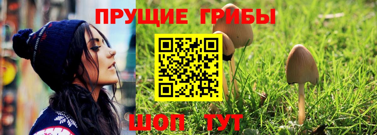 где купить наркоту  Галлюциногенные грибы Magic Shrooms  Вход с VPN  Псилоцибиновые грибы Cubensis  Партизанск 